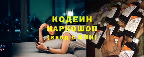 ГАЛЛЮЦИНОГЕННЫЕ ГРИБЫ Инта