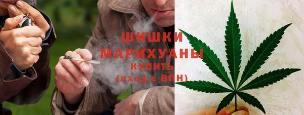 mdpv Инсар