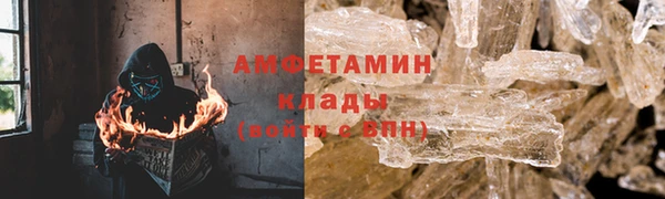 ГАЛЛЮЦИНОГЕННЫЕ ГРИБЫ Инта