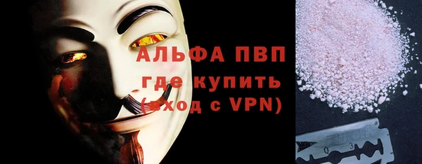 ГАЛЛЮЦИНОГЕННЫЕ ГРИБЫ Инта