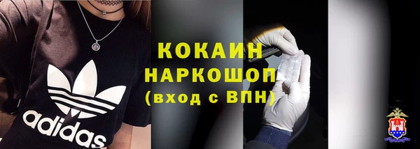 ГАЛЛЮЦИНОГЕННЫЕ ГРИБЫ Инта