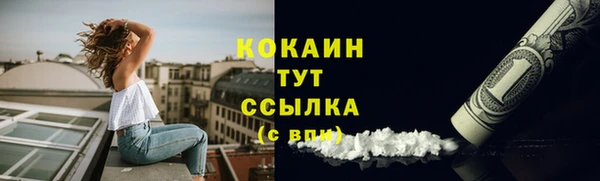 ГАЛЛЮЦИНОГЕННЫЕ ГРИБЫ Инта