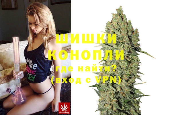 mdpv Инсар