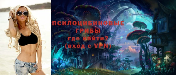mdpv Инсар