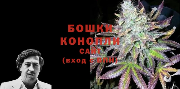 ГАЛЛЮЦИНОГЕННЫЕ ГРИБЫ Инта