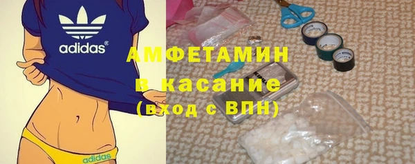 ГАЛЛЮЦИНОГЕННЫЕ ГРИБЫ Инта