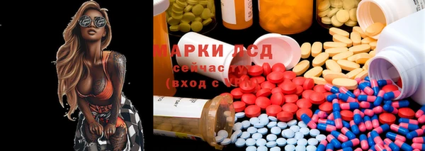 ГАЛЛЮЦИНОГЕННЫЕ ГРИБЫ Инта